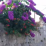 Romantic Old Dinka - With Garden * Dubrovnik