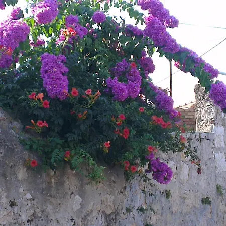 Romantic Old Dinka - With Garden * Ragusa