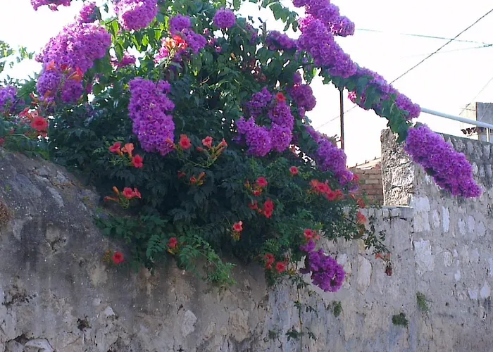 Romantic Old Dinka - With Garden * Dubrovník